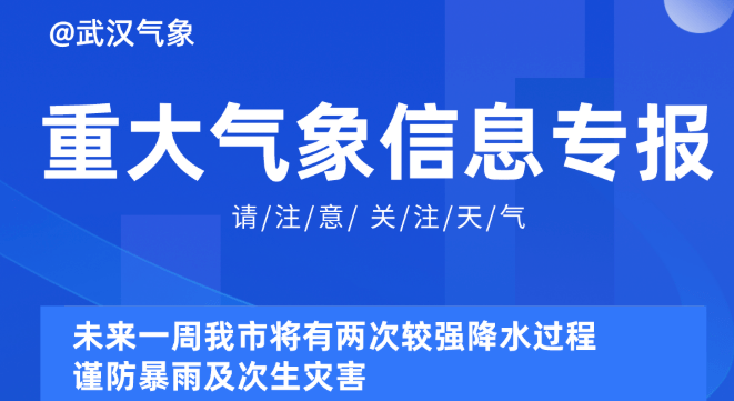 2025新奥资料免费精准109,探索未来，2025新奥资料免费精准共享之道（109细节解析）