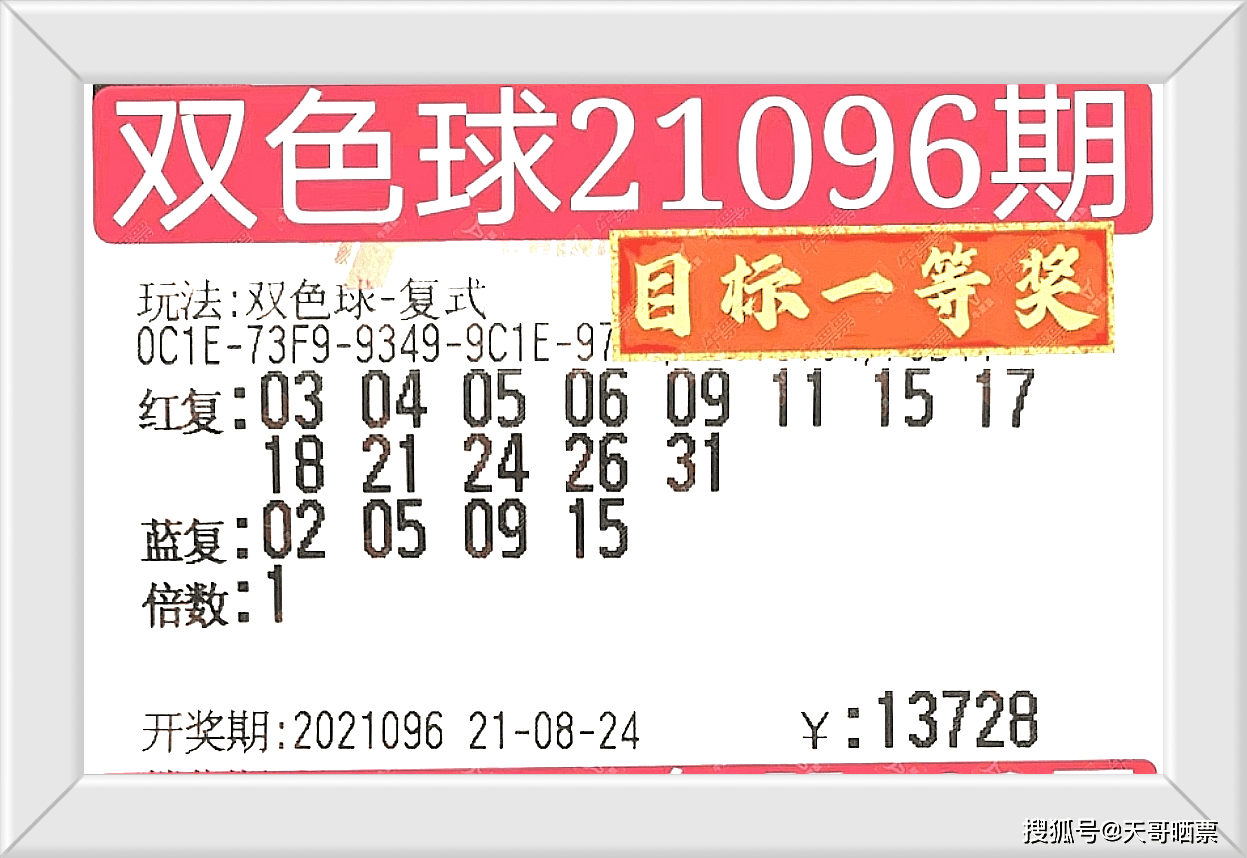 236767澳门今晚开什么号码,澳门今晚彩票号码预测，探索数字背后的奥秘（标题）