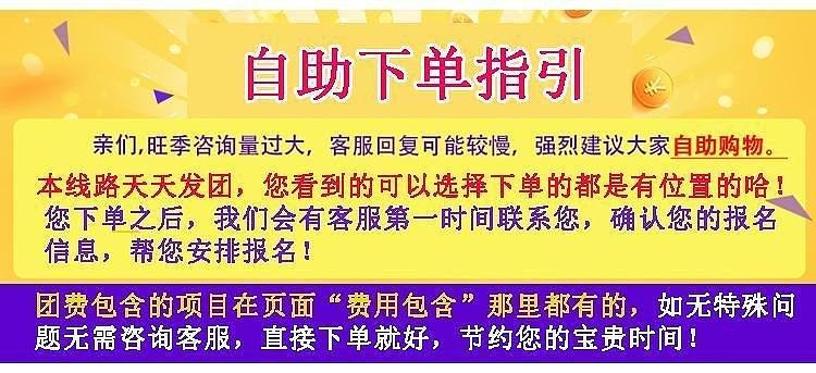 2023澳门天天开好彩大全,揭秘澳门天天开好彩背后的真相与风险警示