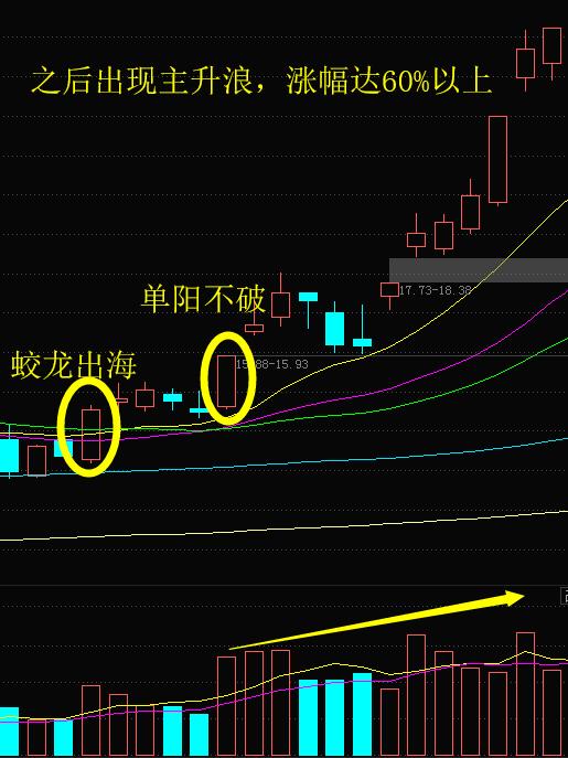 精准一肖100%今天澳门,精准一肖揭秘，探寻今天澳门100%预测之道