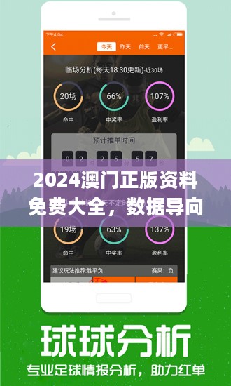 新澳2025资料免费大全版,新澳2025资料免费大全版，探索与启示