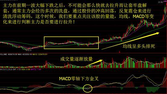 热闹非凡 第3页