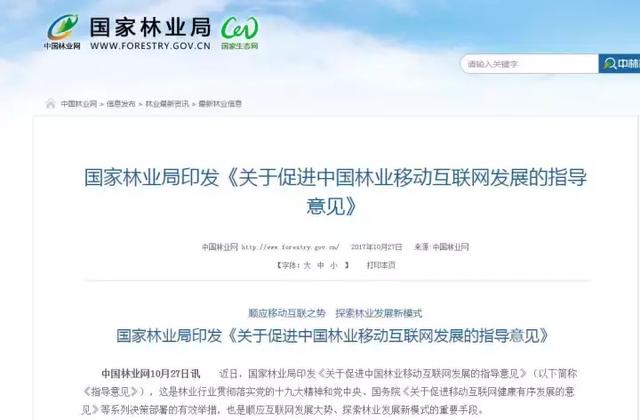 2025澳门特马今晚开奖网站,澳门特马今晚开奖网站——探索与揭秘