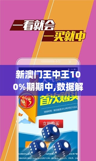 2024年新澳门王中王免费,探索新澳门，2024年王中王免费现象的背后